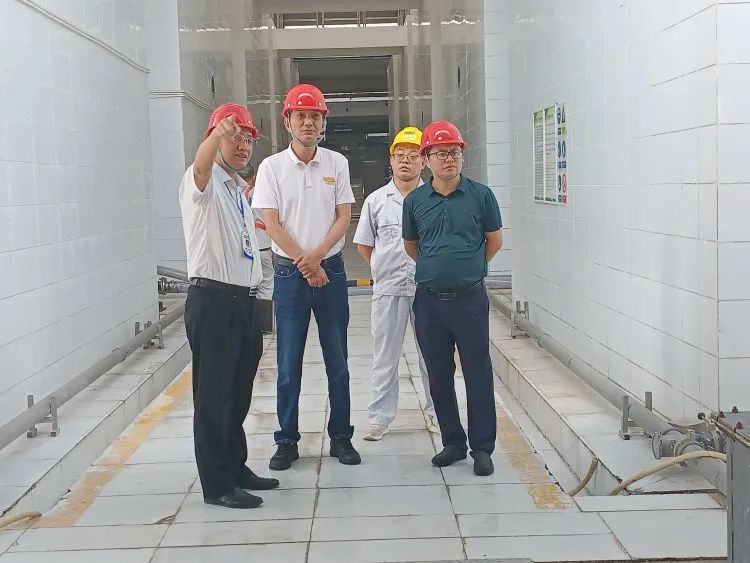 ballbet������(�й�)����ɭ����